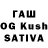 Галлюциногенные грибы Cubensis Matvei Koriakow