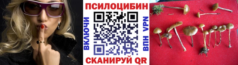 Псилоцибиновые грибы Magic Shrooms  Октябрьский 